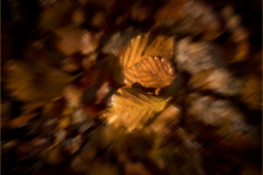 09 01 25