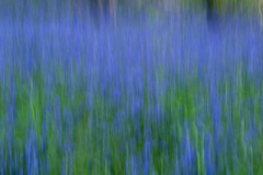 08 05 25